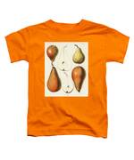 Vintage Fresh Pears by Samuel Berghuis Fruit Matte Fine Art Greeting Card